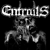 Entrails - List pictures