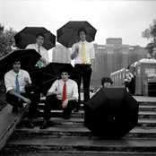 Tally Hall - List pictures