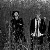 Redd - List pictures