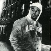 Maestro Fresh Wes - List pictures