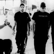 Boxcar Racer - List pictures