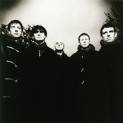 Inspiral Carpets - List pictures