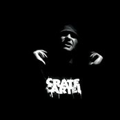 Raven - List pictures