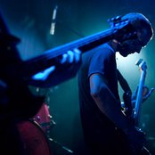 Pelican - List pictures