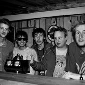 Den Svenska Björnstammen - List pictures