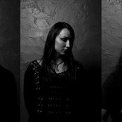 Shape Of Despair - List pictures