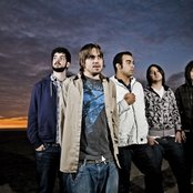 Finch - List pictures