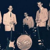 The Surfaris - List pictures