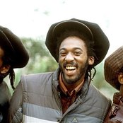 Aswad - List pictures