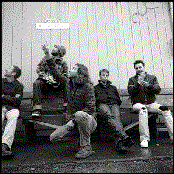 Perl Jam - List pictures