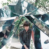 White Fence - List pictures