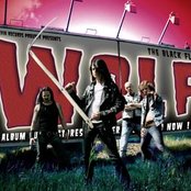 Wolf - List pictures