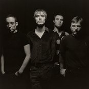 Black Lab - List pictures