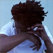 Bows - List pictures