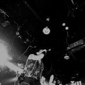 Parasite - List pictures