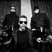 Raubtier - List pictures