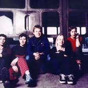 Stereolab - List pictures