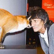 Ronnie Wood - List pictures