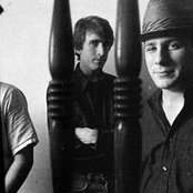 Halo Of Flies - List pictures