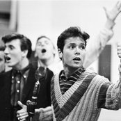 The Shadows - List pictures