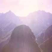 Pears - List pictures