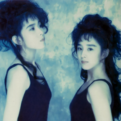 Wink - List pictures