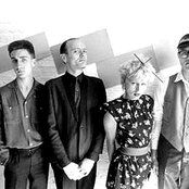 Ideal - List pictures