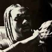 Chino Xl - List pictures