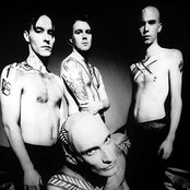 Tiamat - List pictures