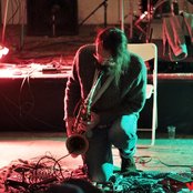 Diamond Terrifier - List pictures