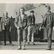 Neljä Ruusua - List pictures