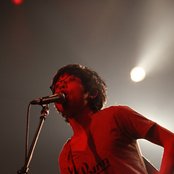 White Ash - List pictures