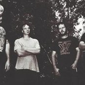 Beastwars - List pictures