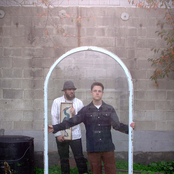 The Skygreen Leopards - List pictures