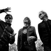 22-pistepirkko - List pictures