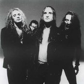 Life Sex And Death - List pictures