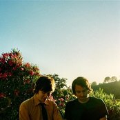 The Young Veins - List pictures