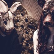 The Bunny The Bear - List pictures