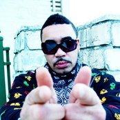 Tash - List pictures