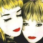 Shampoo - List pictures