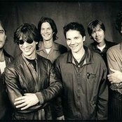 Golden Smog - List pictures