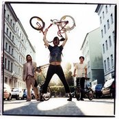 Liars - List pictures