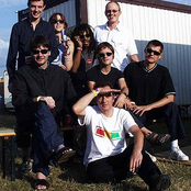 Joe Strummer And The Mescaleros - List pictures