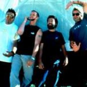 Molotov - List pictures