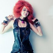 Fat Cat - List pictures