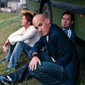 Tree63 - List pictures