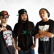 The Steppas - List pictures