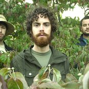 Cool Hand Luke - List pictures