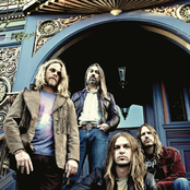 Orchid - List pictures