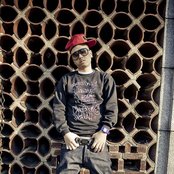 Al-doe - List pictures